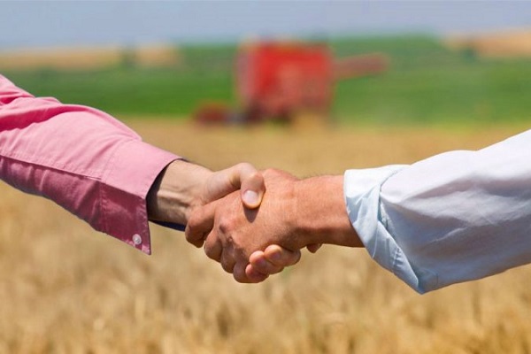 Foto colorida na altura da cintura de um aperto de mão entre duas pessoas em pé em um campo de trigo dourado. O braço esquerdo é de uma pessoa vestindo uma camisa rosa de mangas compridas, e o braço direito é de uma pessoa vestindo uma camisa branca de mangas compridas com a manga enrolada. Ao fundo, uma colheitadeira vermelha está visível e desfocada em um campo verde.